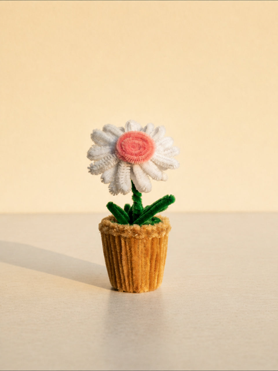 Cotton Cloud Daisy